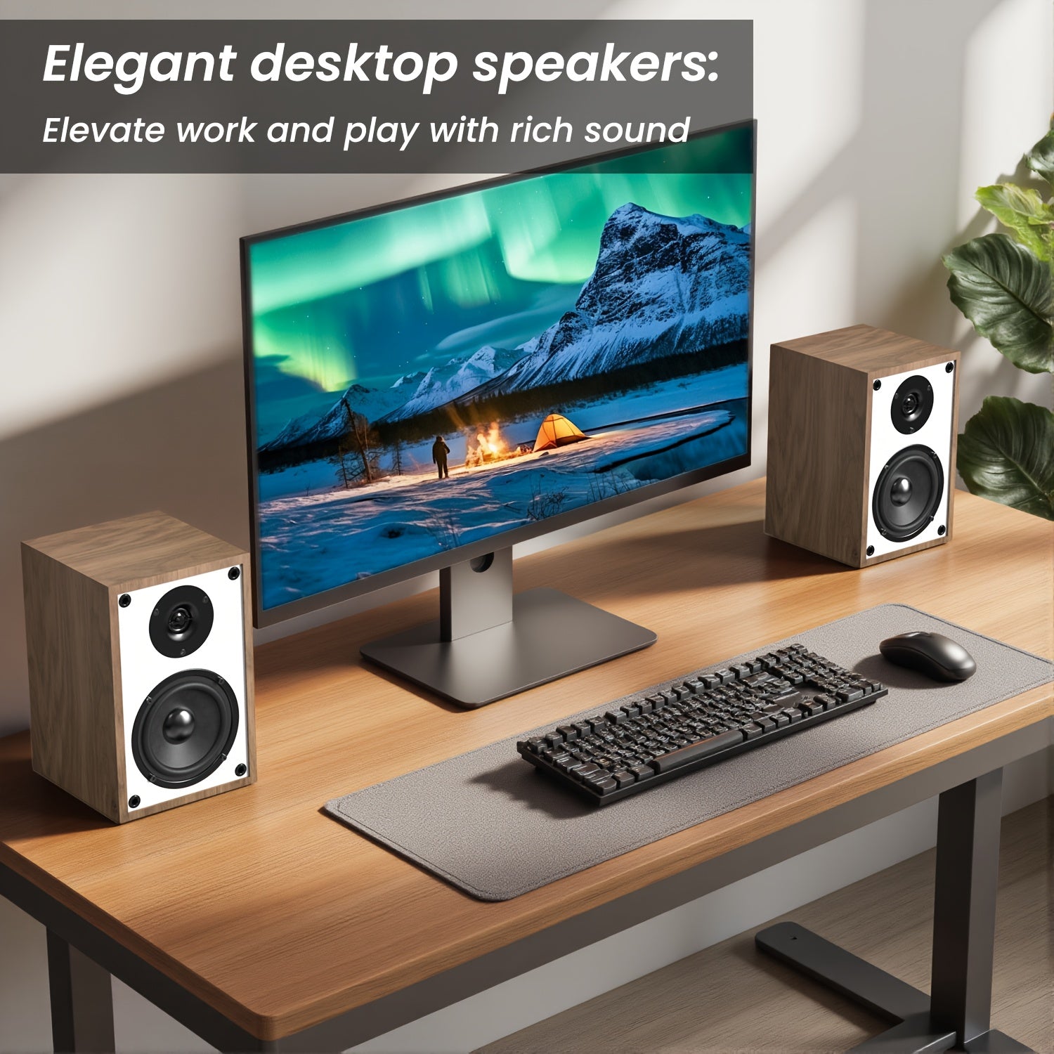 Bookshelf Wireless Speaker/Computer Speakers