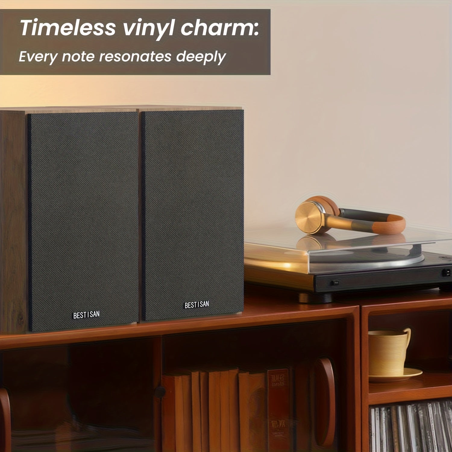 Bookshelf Wireless Speaker/Computer Speakers