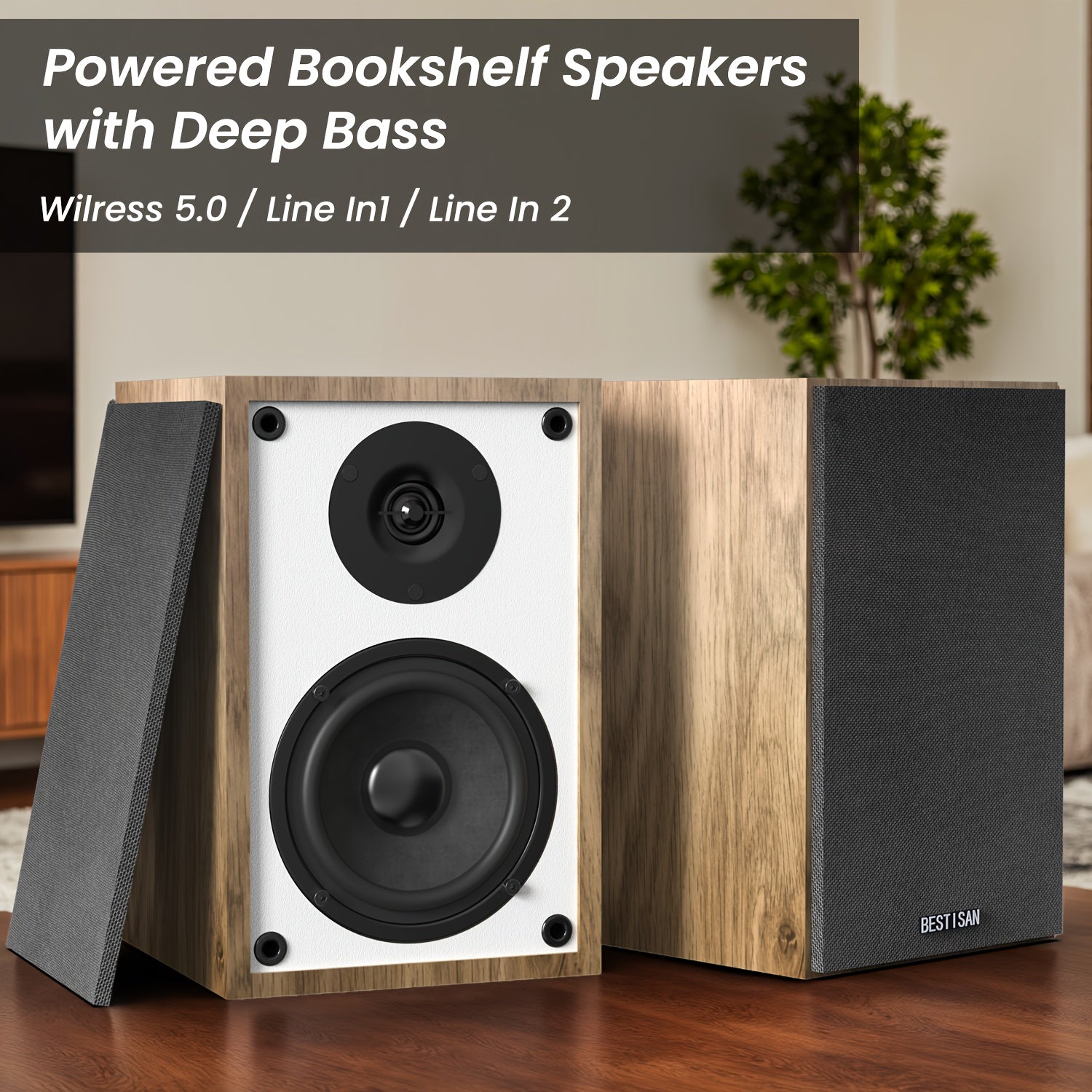 Bookshelf Wireless Speaker/Computer Speakers
