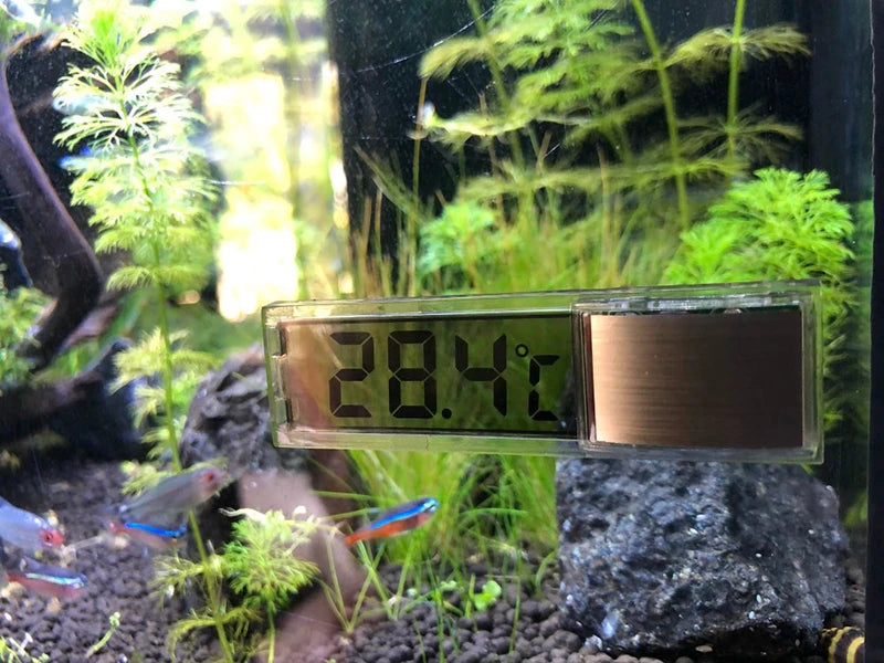 Keep your aquarium just right with this electronic LCD digital thermometer—easy to read and ultra-accurate!