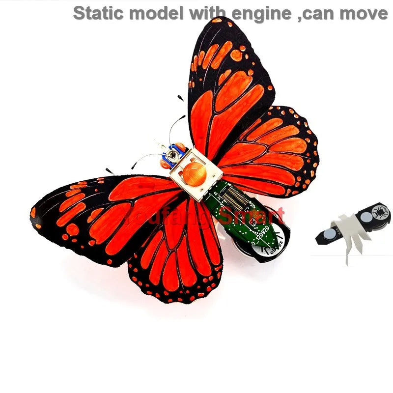 Robotic Insects