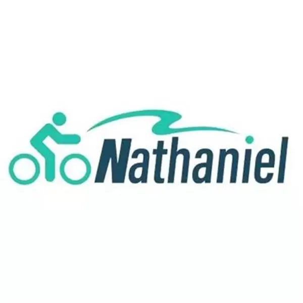 Nathaniel SYR08 2000W Dual Motor E-Bike, 20*4.0 Fat Tire, 20AH Detachable Battery, Speed 50+, Daily Commuting, Adult Electric Bi