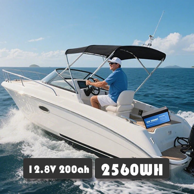 Anern High Quality 2560WH 12V/24V 100Ah LiFePO4 Lithium Battery Built-in BMS for Inverter Motorhome Solar System Boat Household