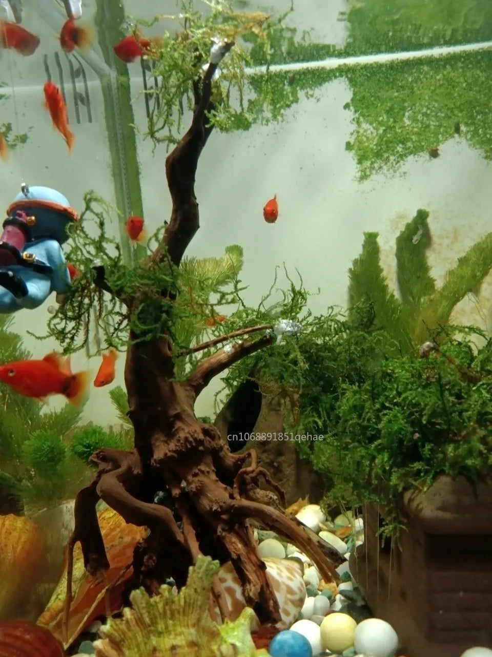 Fish Tank Decoration Natural Wooden Small Habitat Roots Driftwood Scenery Decorative Ornaments Aquarium Landscape Tree Roots