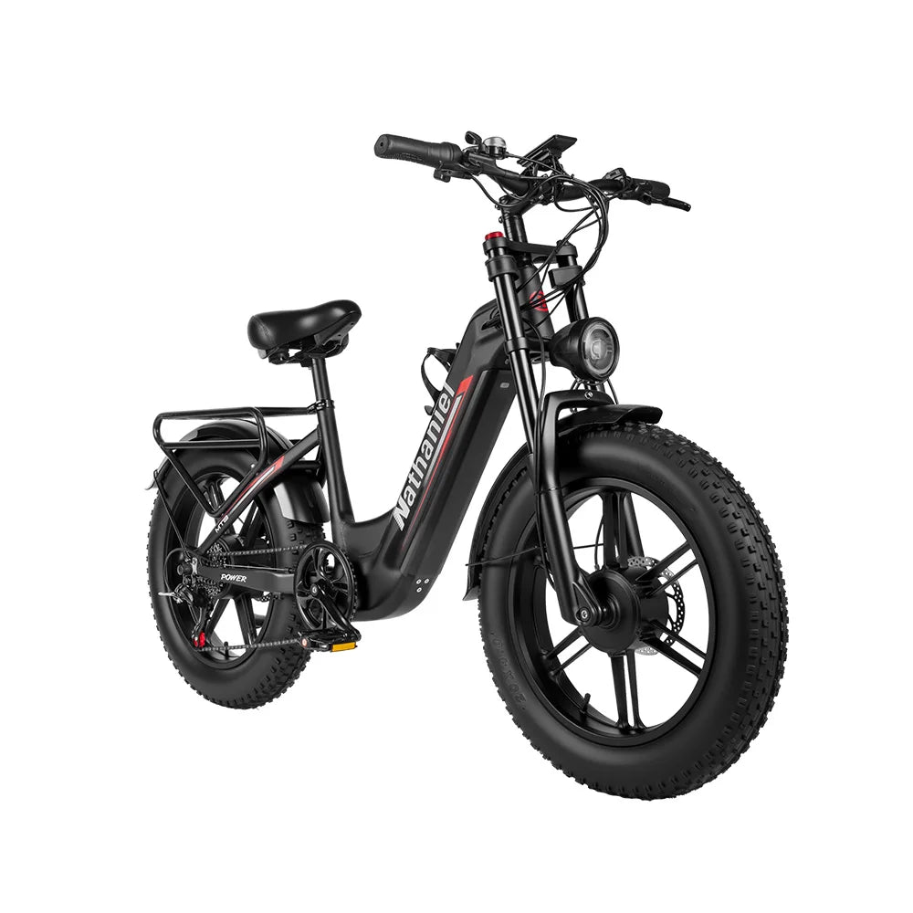 Nathaniel SYR08 2000W Dual Motor E-Bike, 20*4.0 Fat Tire, 20AH Detachable Battery, Speed 50+, Daily Commuting, Adult Electric Bi