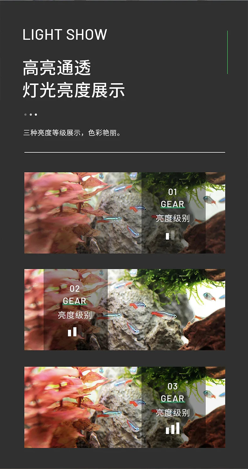 2026 mini fish tank Self circulating fish tank with charging filter desktop living room household water free ecological aquarium