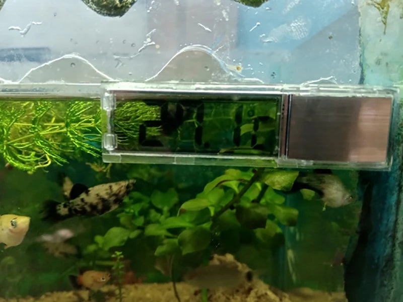 Keep your aquarium just right with this electronic LCD digital thermometer—easy to read and ultra-accurate!