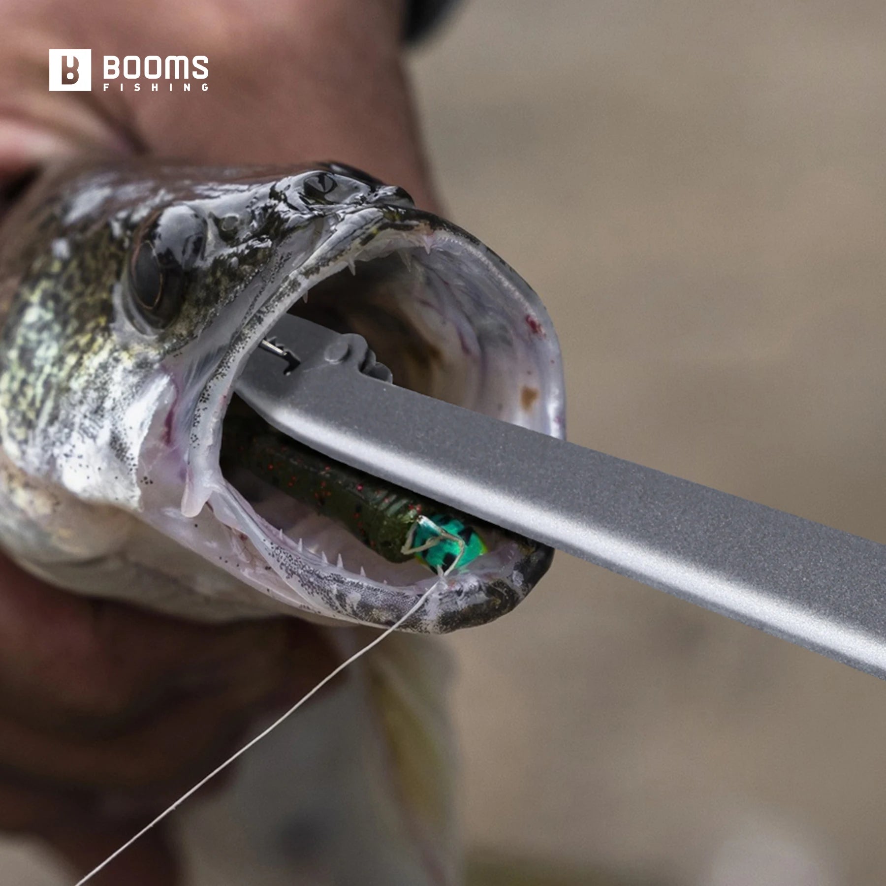 Booms Fishing R01 Carbon Steel Corrosion-Resistant 25cm Long Fish Hook Remover Extractor For Saltwater Fishing Tools