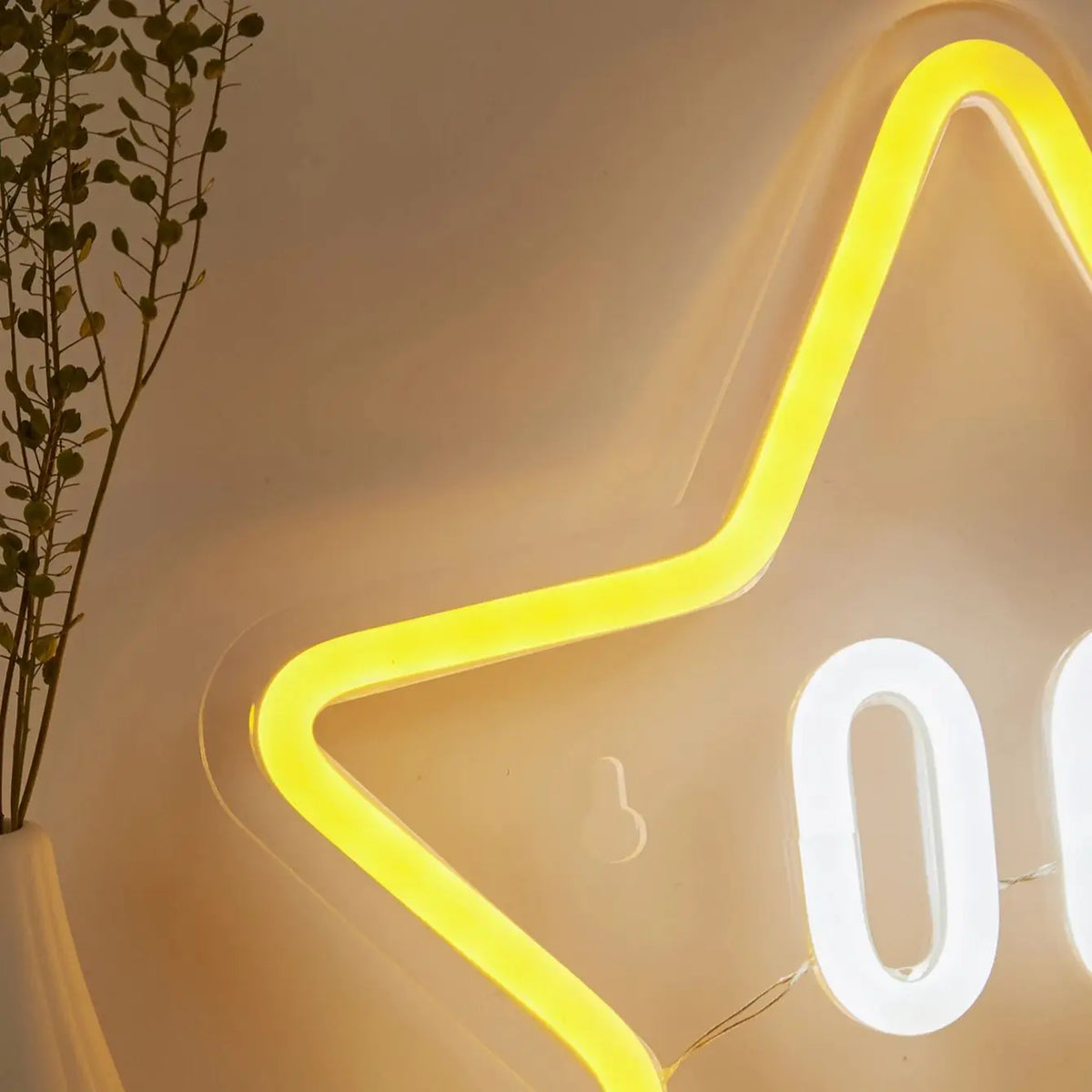 Chi-Buy 1PC Cartoon Star Shape LED Neon Sign USB Powered Wall Decoration Neon Light Signs Suitable For Party, Wedding