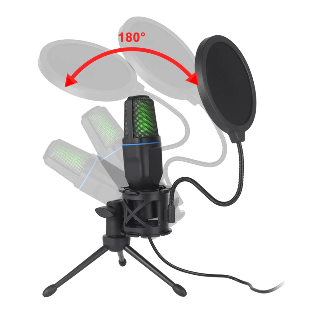 Microphone