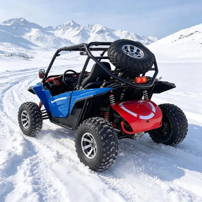 Hot Sale Dune Buggy 250cc 4 Stroke Gas Powered Off Road Go Kart with Automatic CVT for Sand Dune Beach Adventure for Family Fun
