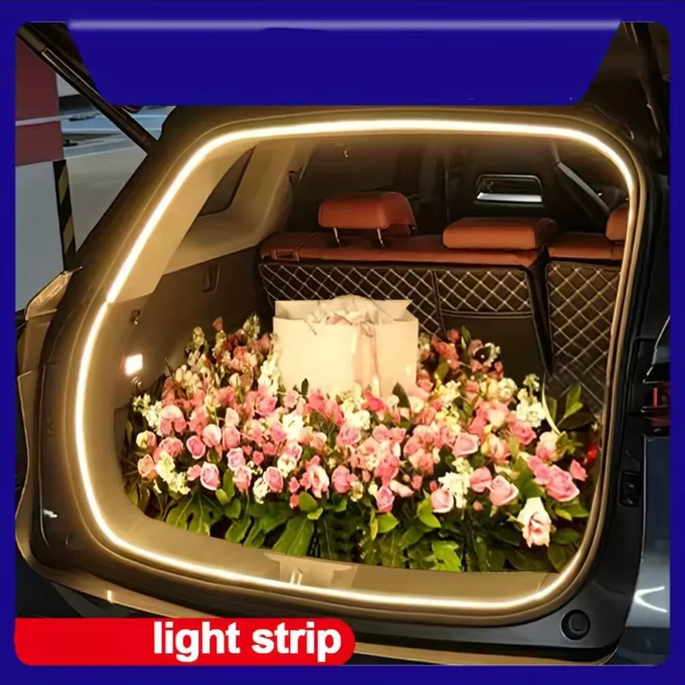 Trunk light