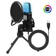 Professional Condenser Microphone