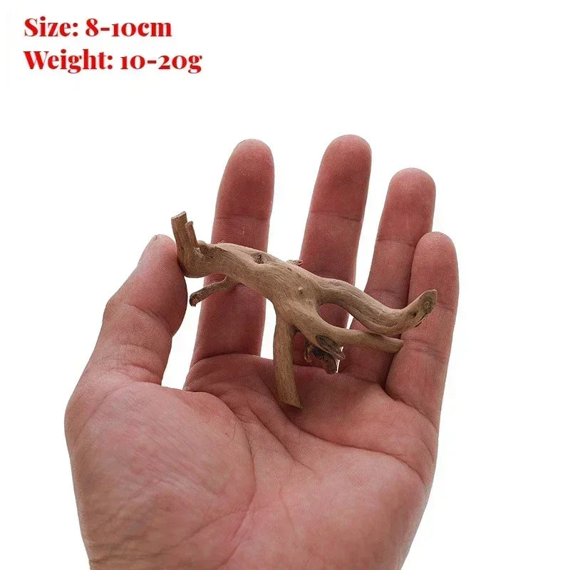 Natural Wooden Fish Tank Decorations Plant Stem Tree Trunk Driftwood Tree Aquarium Fish Landscaping Tree Roots Ornaments