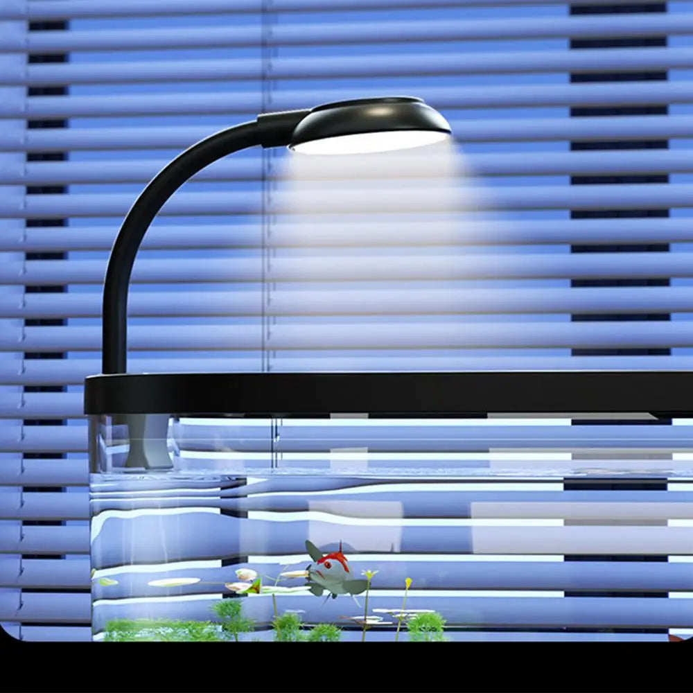 Aquarium Kit Betta Fish Tank For Beginners Desktop Beginner Aquarium Small Household Fish Bowl For Aquatic Animals Betta Turtle