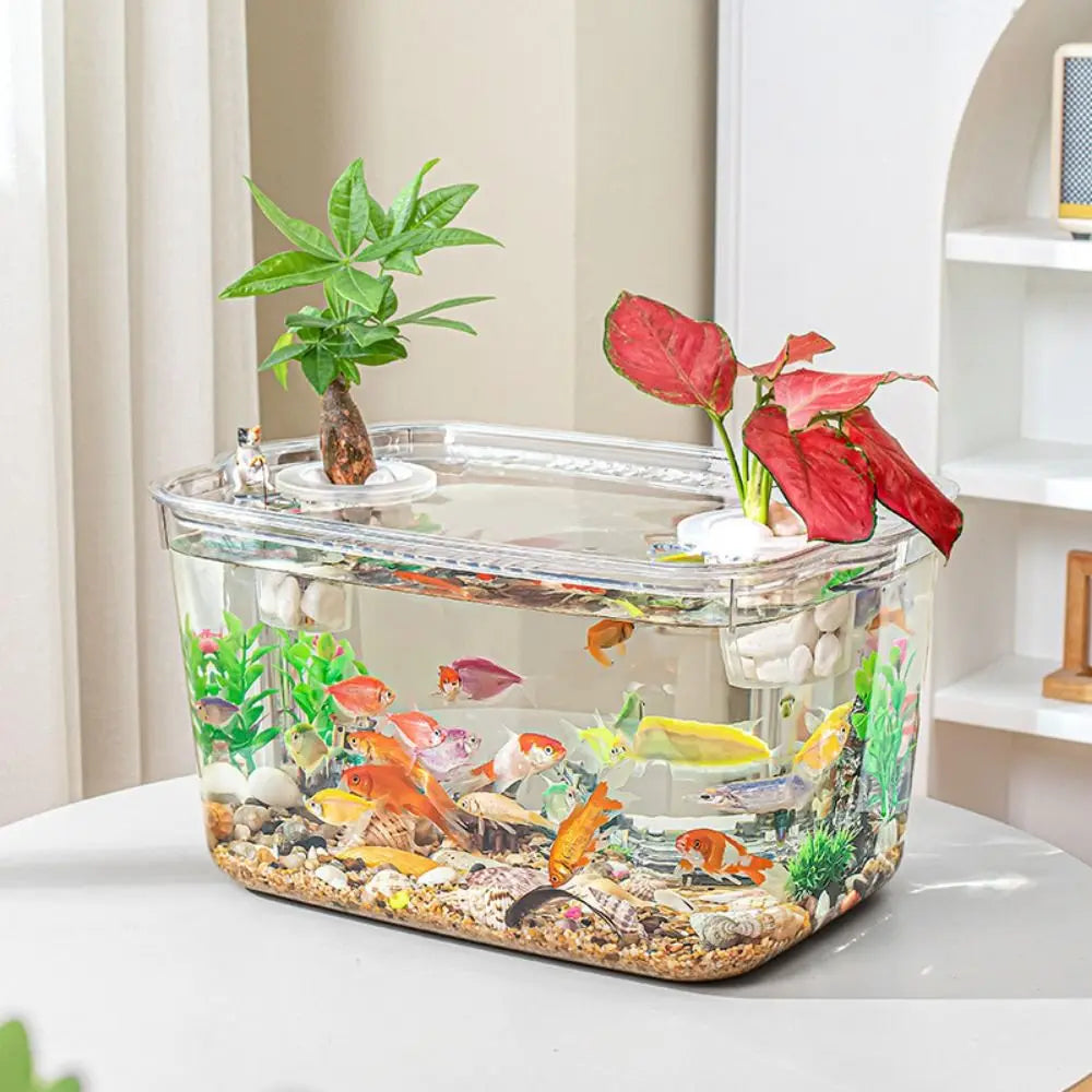 Fall Prevention Explosion-proof Plastic Fish Tank PET Transparent Tabletop Fish Tank Small Ecological Water Tank