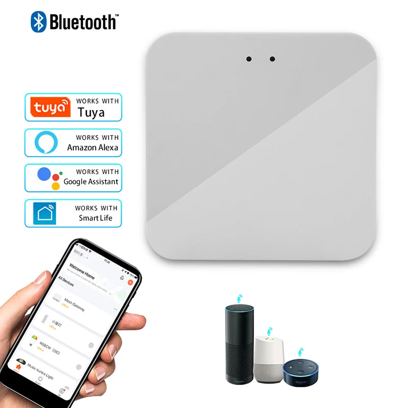 Smart Home Control