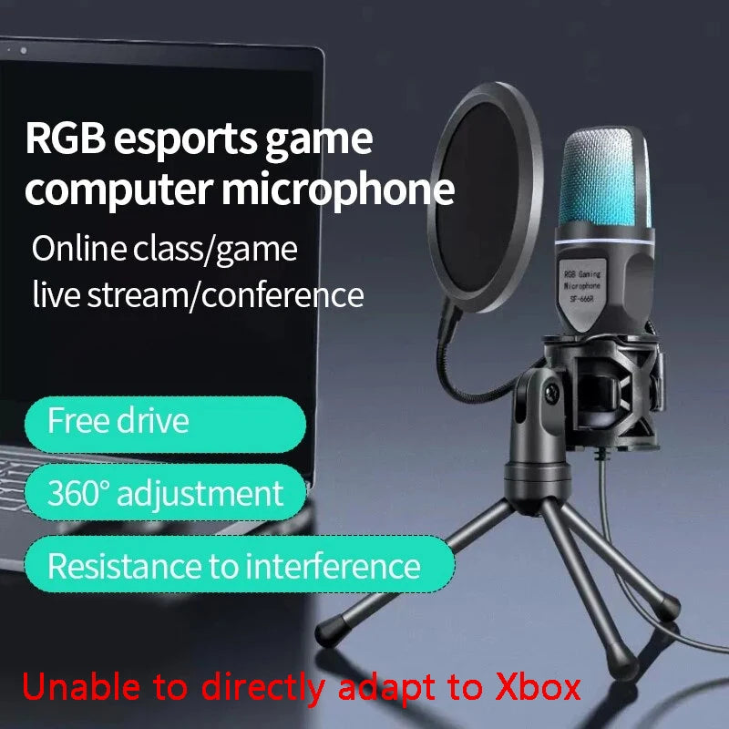 Professional Condenser Microphone