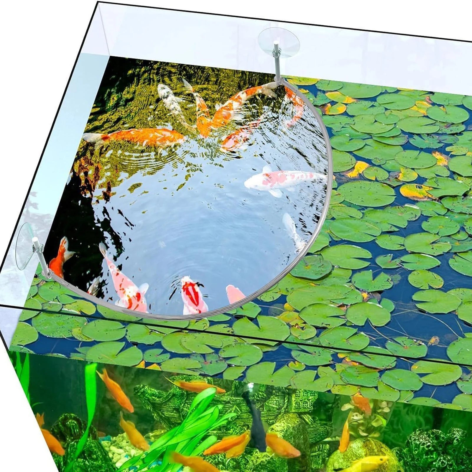 Fish Tank Floating Plant Interceptor Organize and Separate Different Plants Fence for Home Aquarium Decor