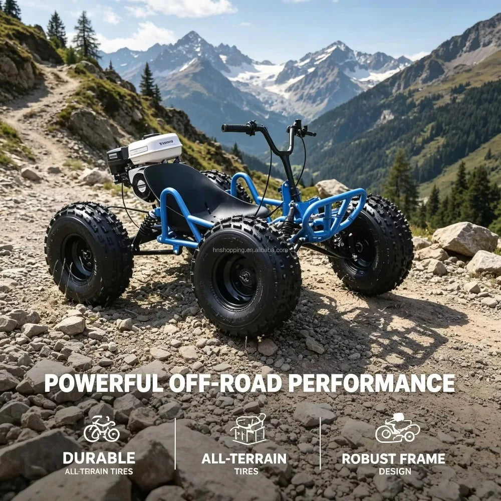 Adult Off-Road Go Kart 4-Stroke 212cc Gas Engine Chain Drive 180kg Load Drift Beach High-Speed Buggy for Outdoor Adventure