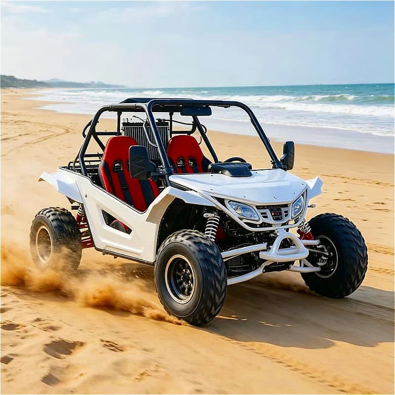 Sport Beach Buggy 200cc 4x4 Off Road Go Kart With High Performance Suspension For Sand Dune Racing For Speed