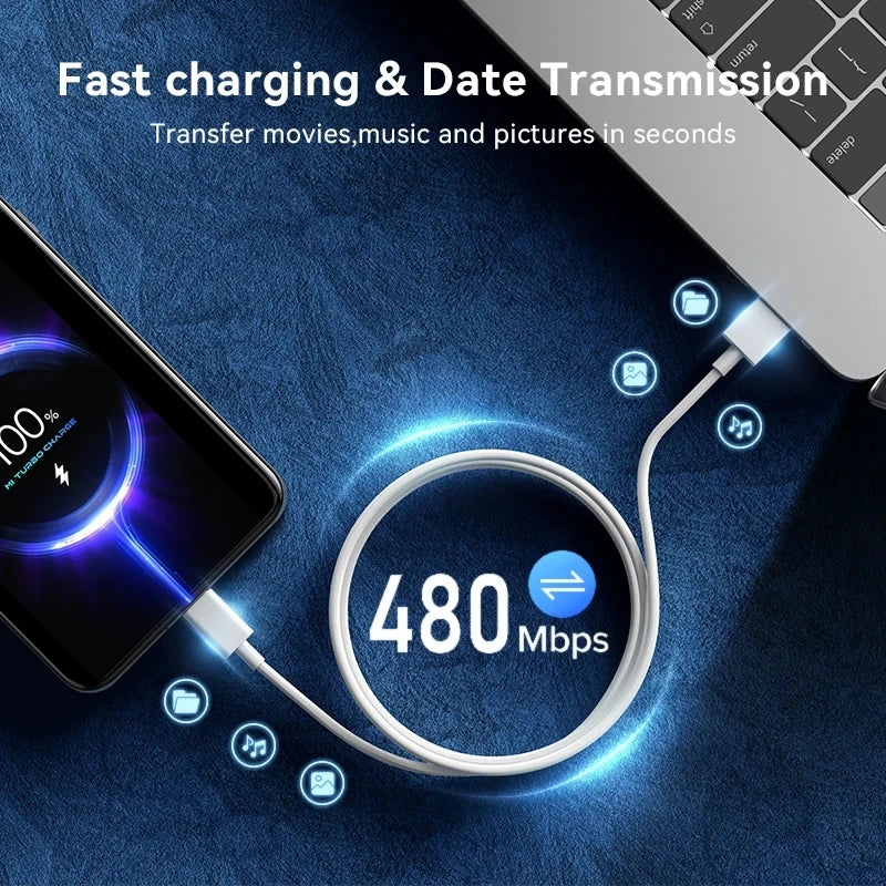Ultra Fast Charger