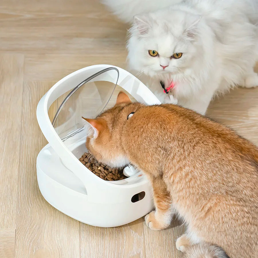 Make feeding time a breeze for multi-pet households with this global version cat and dog feeder—controlled easily with the handy app!