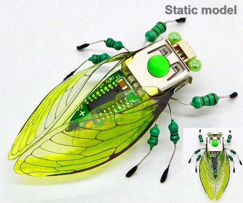 Robotic Insects