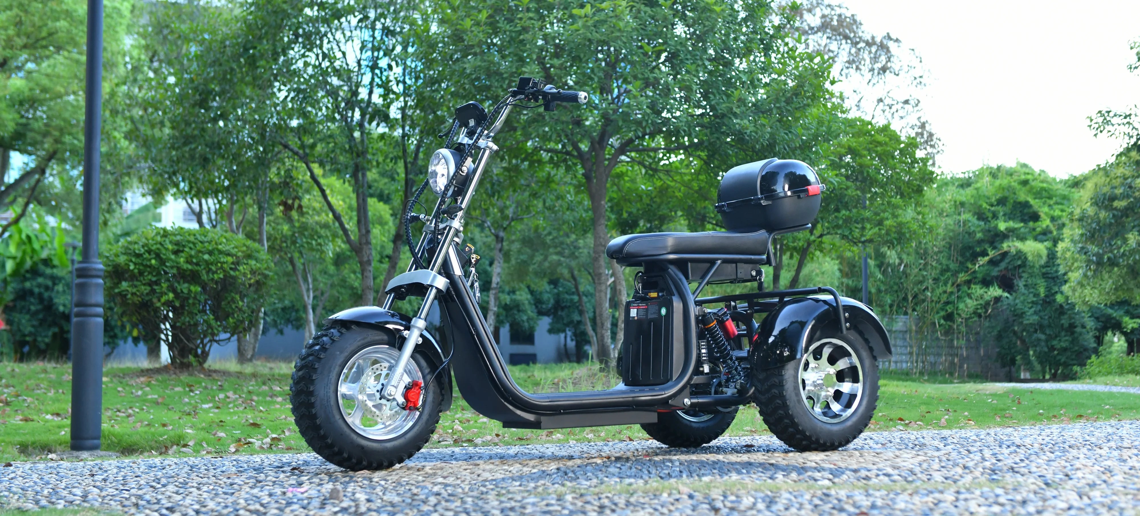 3-wheel electric scooter: 3000W motor, 40KM/H speed, 200KG load, 18" fat tires.