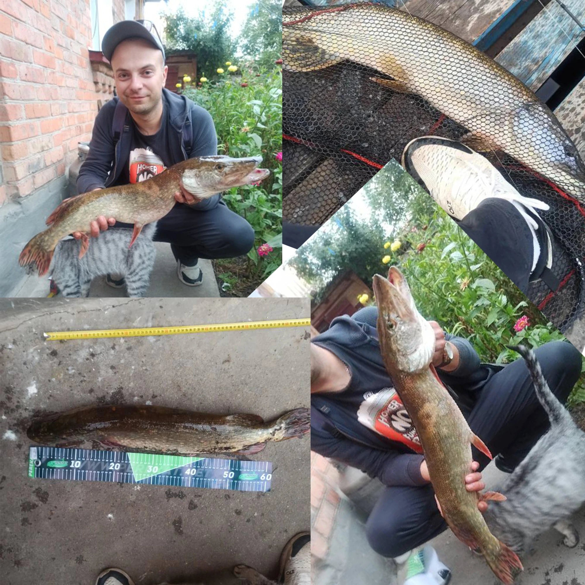 BIUTIFU BIGFISH Carp Surfcasting Fishing Rods 3.0m 3.3m 3.6m 3.9m 4.2m 4.5m T800Carbon 3.5lbs Shore Casting 40-200g Spinning Hard Rock Pole