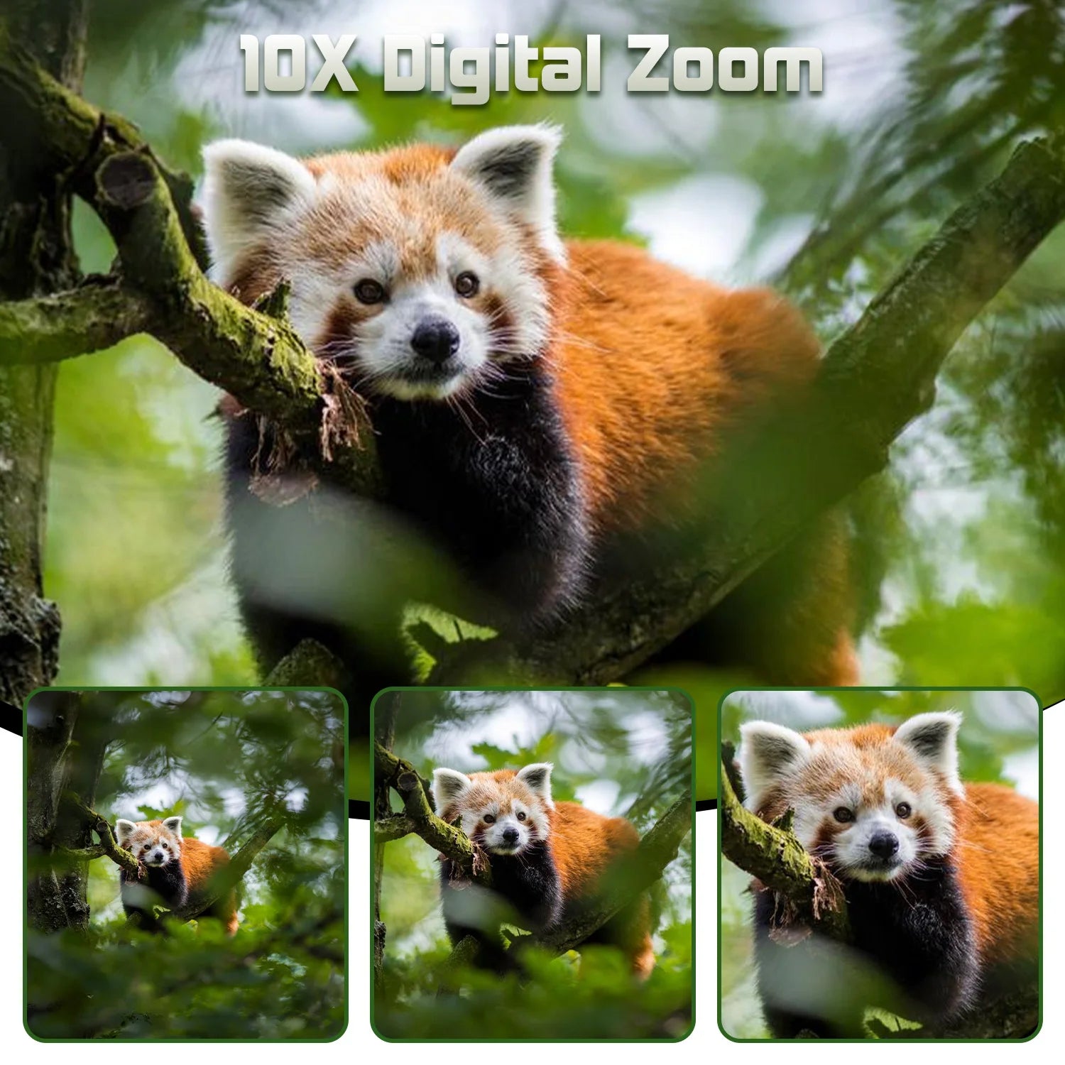 Infrared Night Vision Goggles 4K HD, with 3" Screen&10X Digital Zoom Camera, 2500mAh Battery USB Rechargeable Binoculars, for Wildlife Observation Hunting Camping Hiker Backpackers
