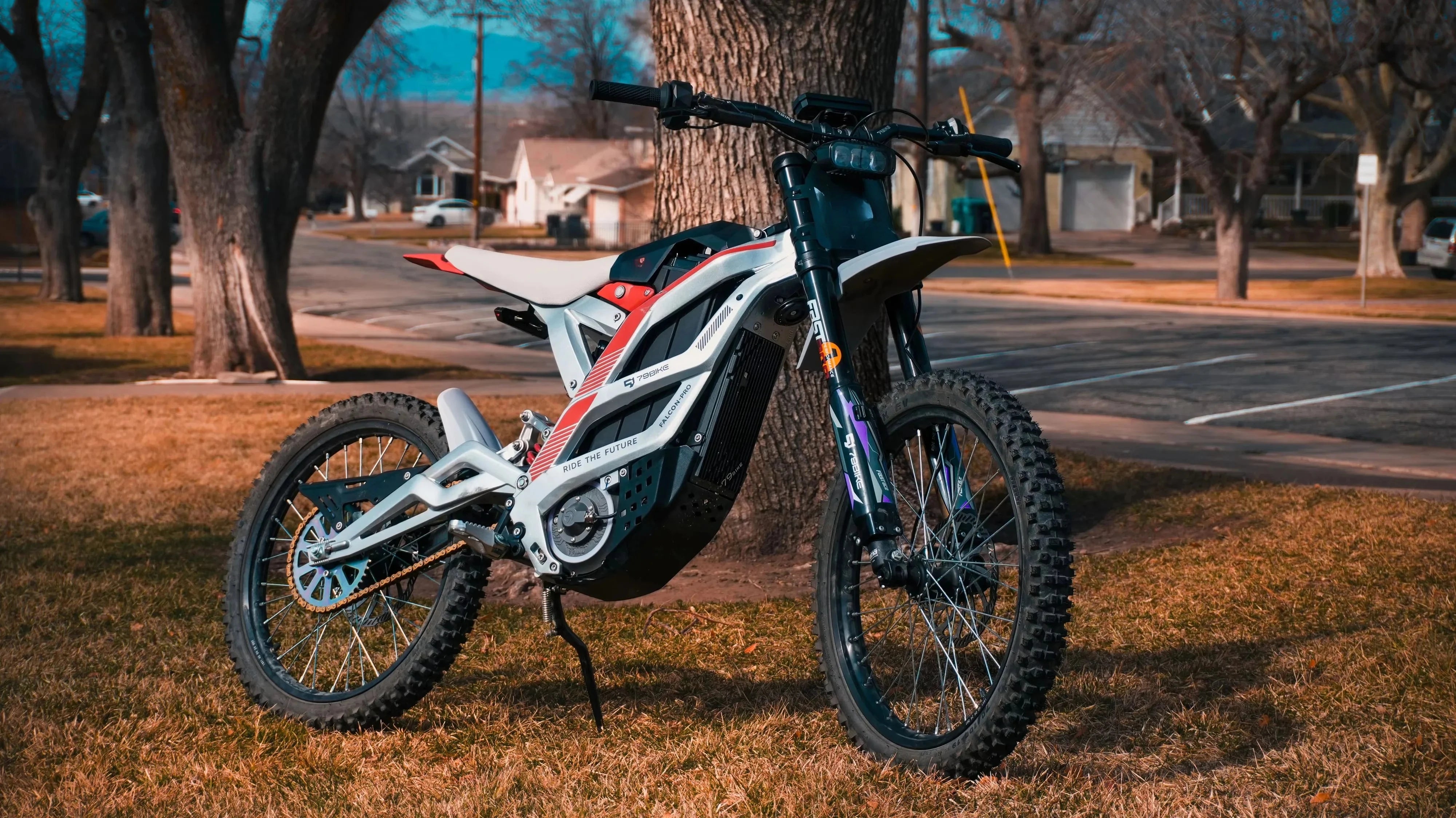Tc 79Bike Aluminum Alloy Full Absorber Falcon Electric Off-Road Vehicle Adult 72V Off-Road Motorcycle Mountain Off-Road Electric