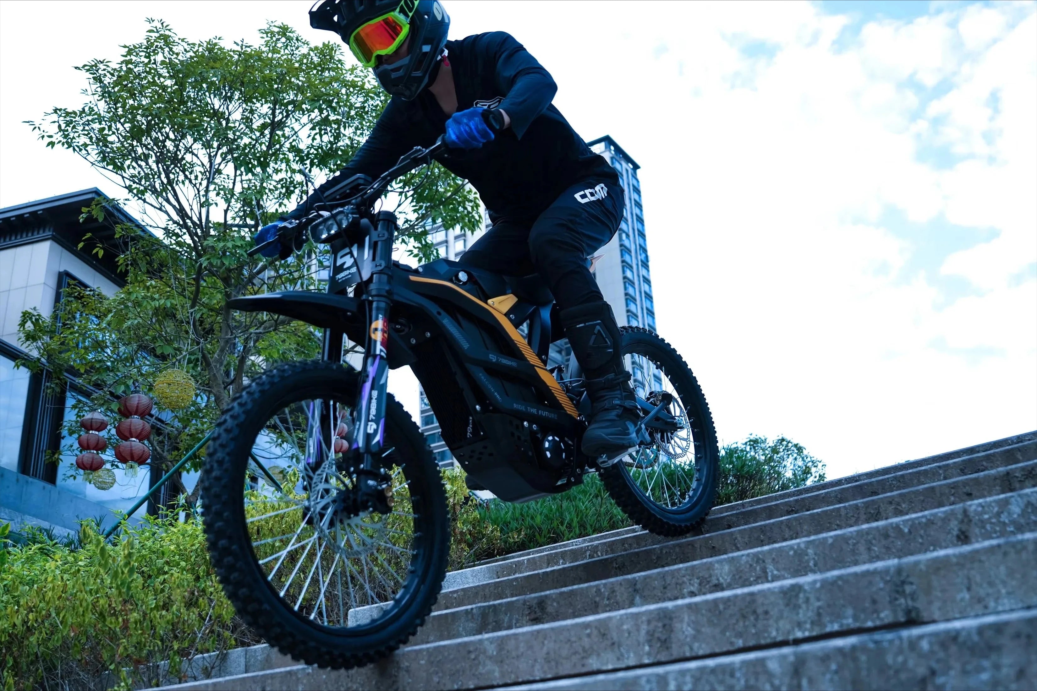 Tc 79Bike Aluminum Alloy Full Absorber Falcon Electric Off-Road Vehicle Adult 72V Off-Road Motorcycle Mountain Off-Road Electric
