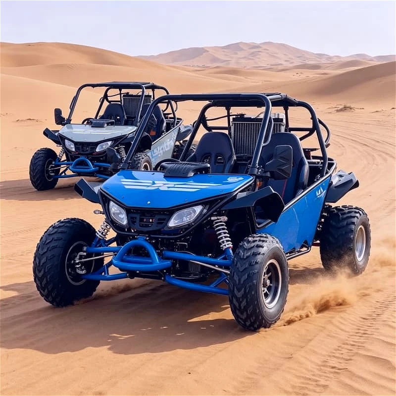 Hot Sale Dune Buggy 250cc 4 Stroke Gas Powered Off Road Go Kart with Automatic CVT for Sand Dune Beach Adventure for Family Fun