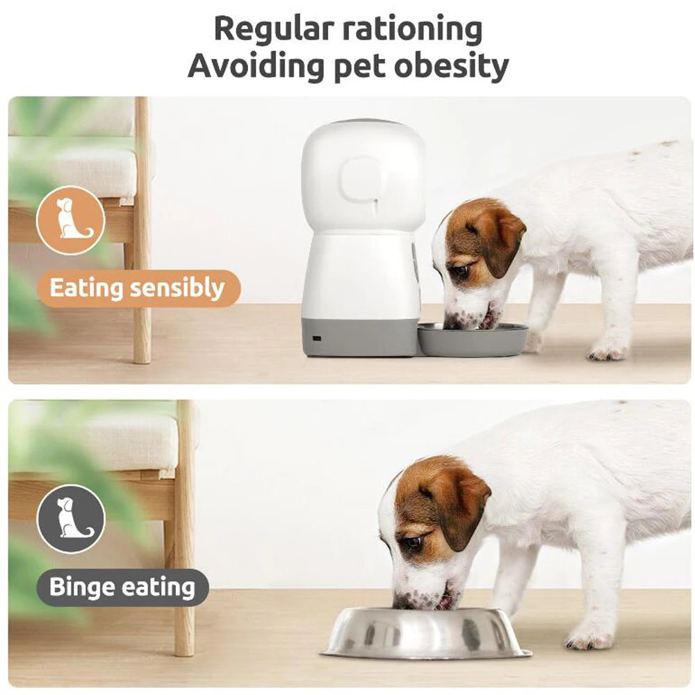 Keep your furry friends well-fed on schedule with this automatic pet feeder featuring a smart timer and durable stainless steel bowl—perfect for cats and dogs!