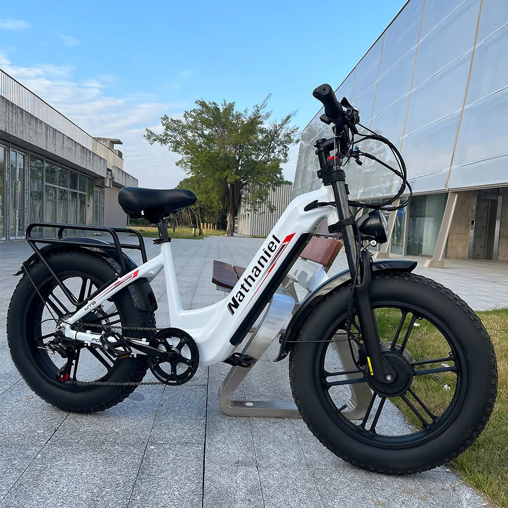 Nathaniel SYR08 2000W Dual Motor E-Bike, 20*4.0 Fat Tire, 20AH Detachable Battery, Speed 50+, Daily Commuting, Adult Electric Bi