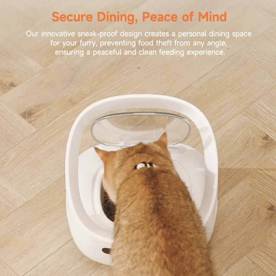 Make feeding time a breeze for multi-pet households with this global version cat and dog feeder—controlled easily with the handy app!