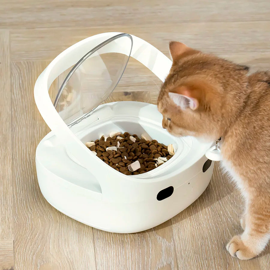 Make feeding time a breeze for multi-pet households with this global version cat and dog feeder—controlled easily with the handy app!