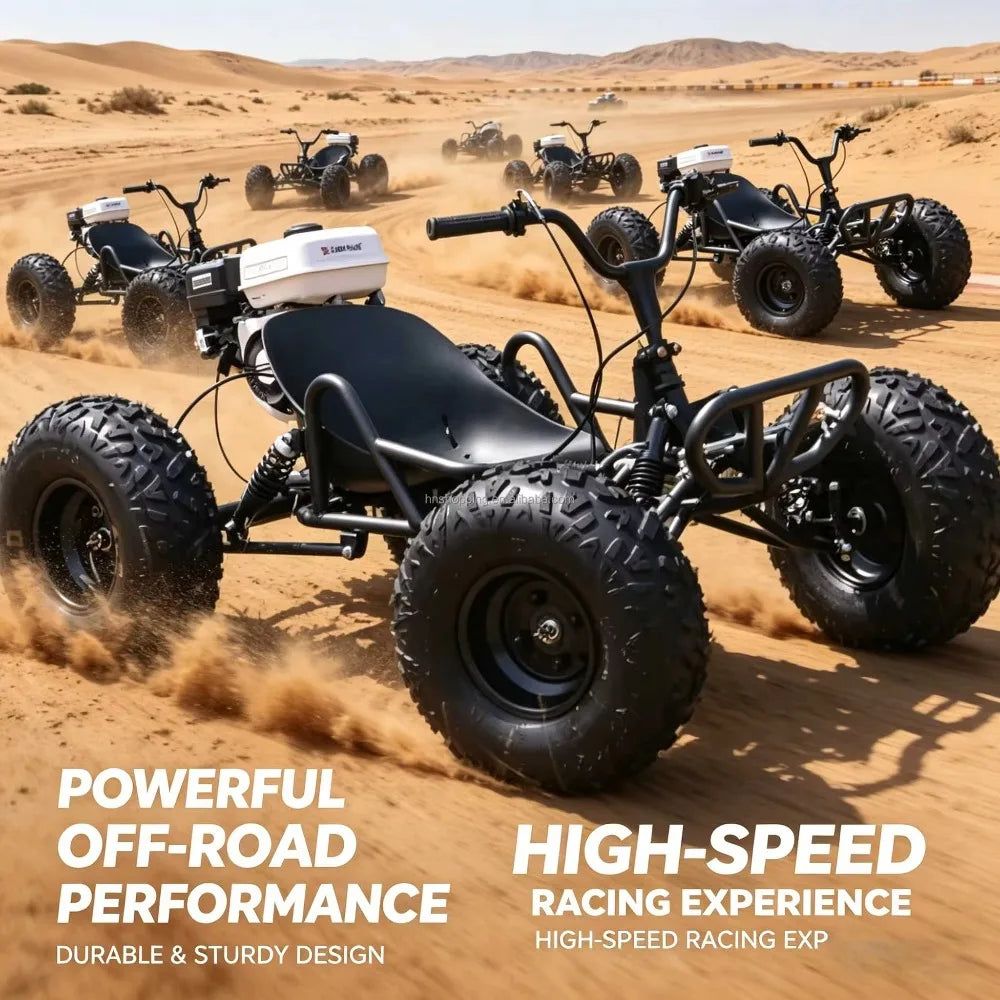 Adult Off-Road Go Kart 4-Stroke 212cc Gas Engine Chain Drive 180kg Load Drift Beach High-Speed Buggy for Outdoor Adventure