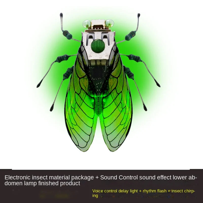 Robotic Insects