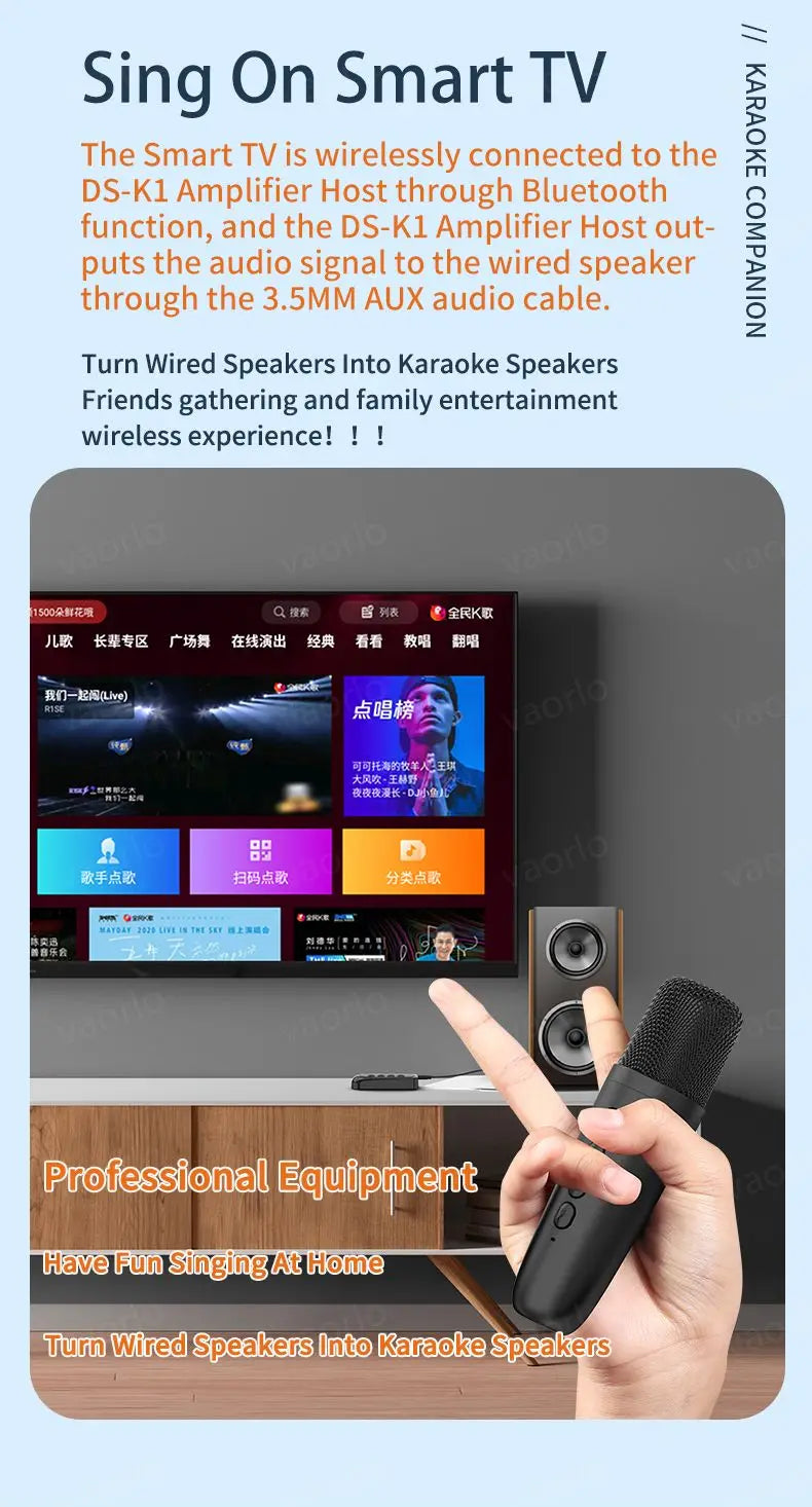 Wireless Karaoke Companion Bluetooth 5.3 Dynamic Microphone KTV DSP Mixer System 3.5MM AUX Type-C Amplifier Host For Speaker Car