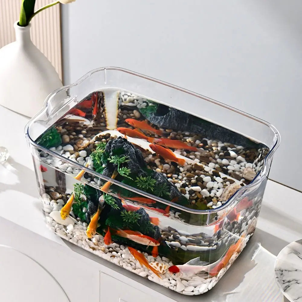 Fall Prevention Explosion-proof Plastic Fish Tank PET Transparent Tabletop Fish Tank Small Ecological Water Tank