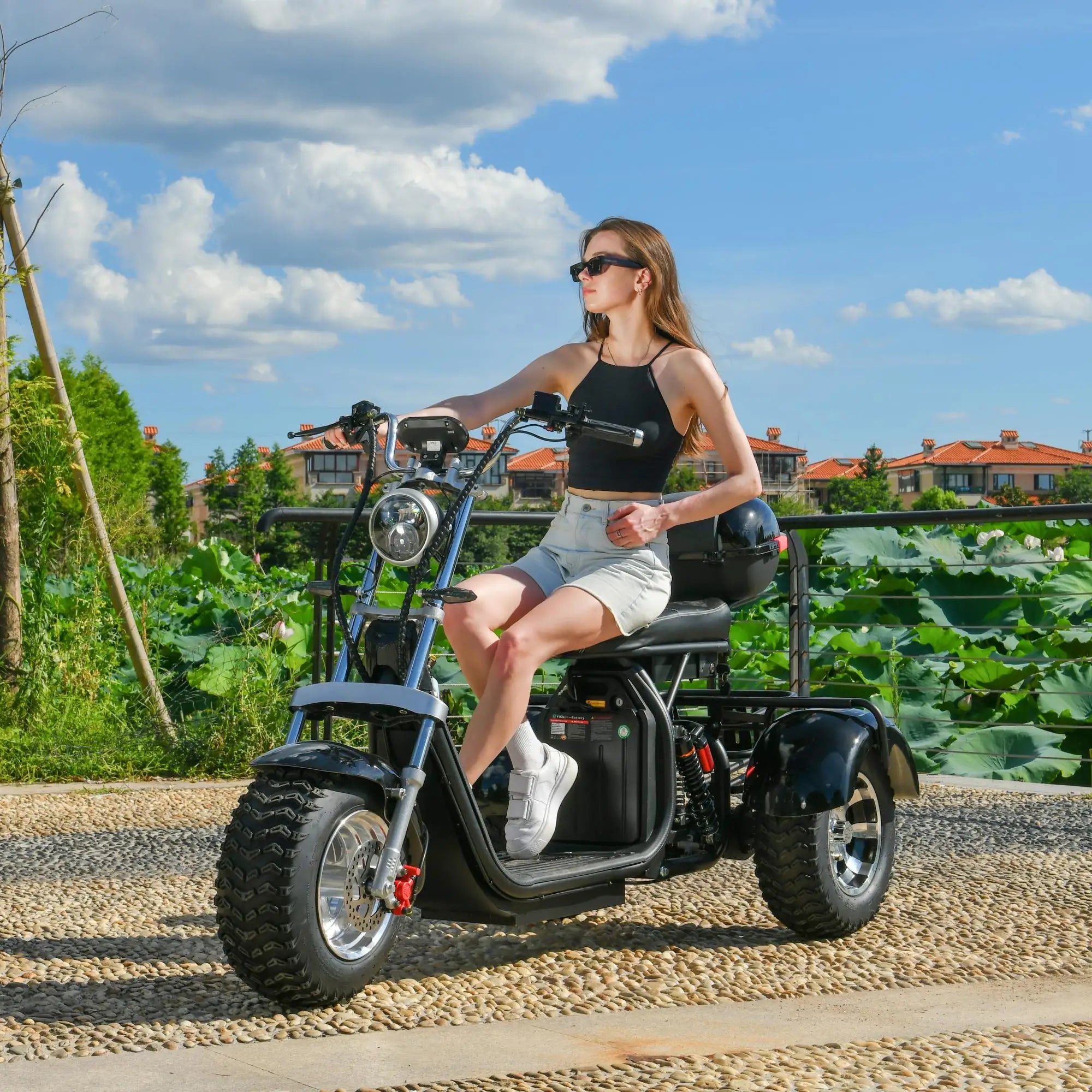 3-wheel electric scooter: 3000W motor, 40KM/H speed, 200KG load, 18" fat tires.