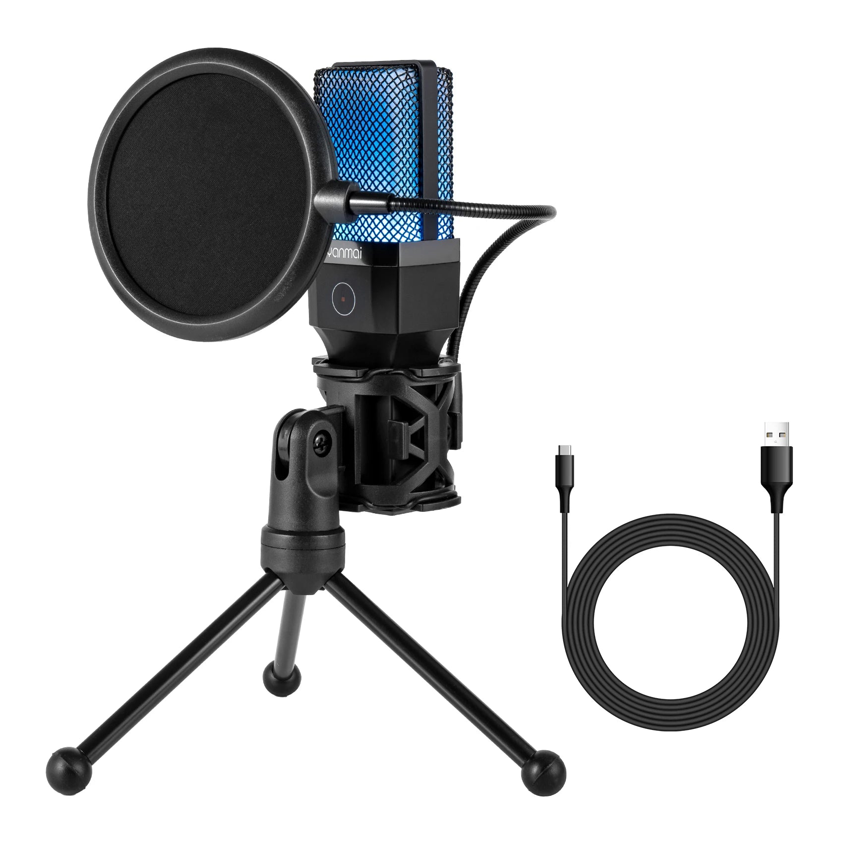 Professional Condenser Microphone