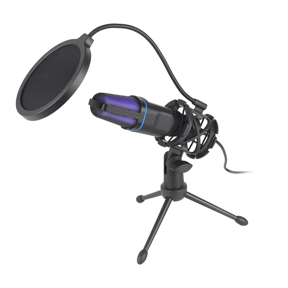 Microphone
