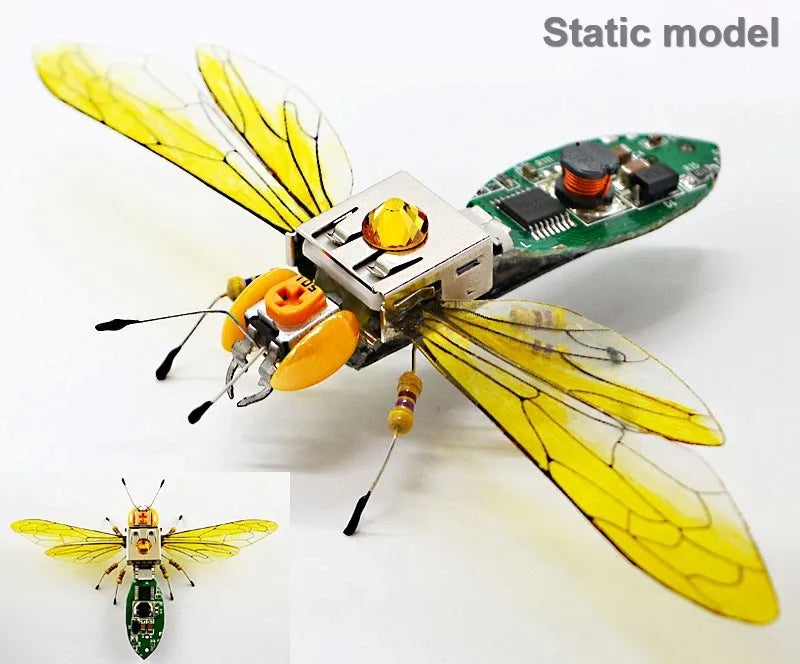 Robotic Insects