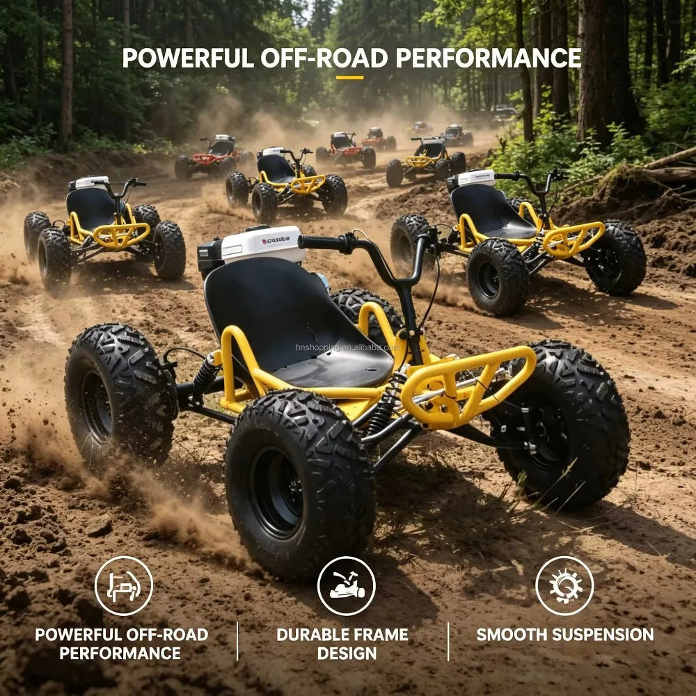 Adult Off-Road Go Kart 4-Stroke 212cc Gas Engine Chain Drive 180kg Load Drift Beach High-Speed Buggy for Outdoor Adventure
