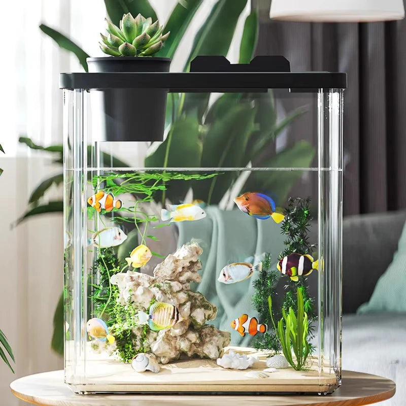 Desktop Small Ecological Fish Tank Landscaping Thickened Office Desk Bucket Fish Tank Integrated Machine Hydroponic Breeding Box