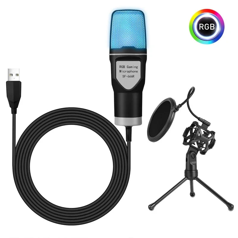 Professional Condenser Microphone