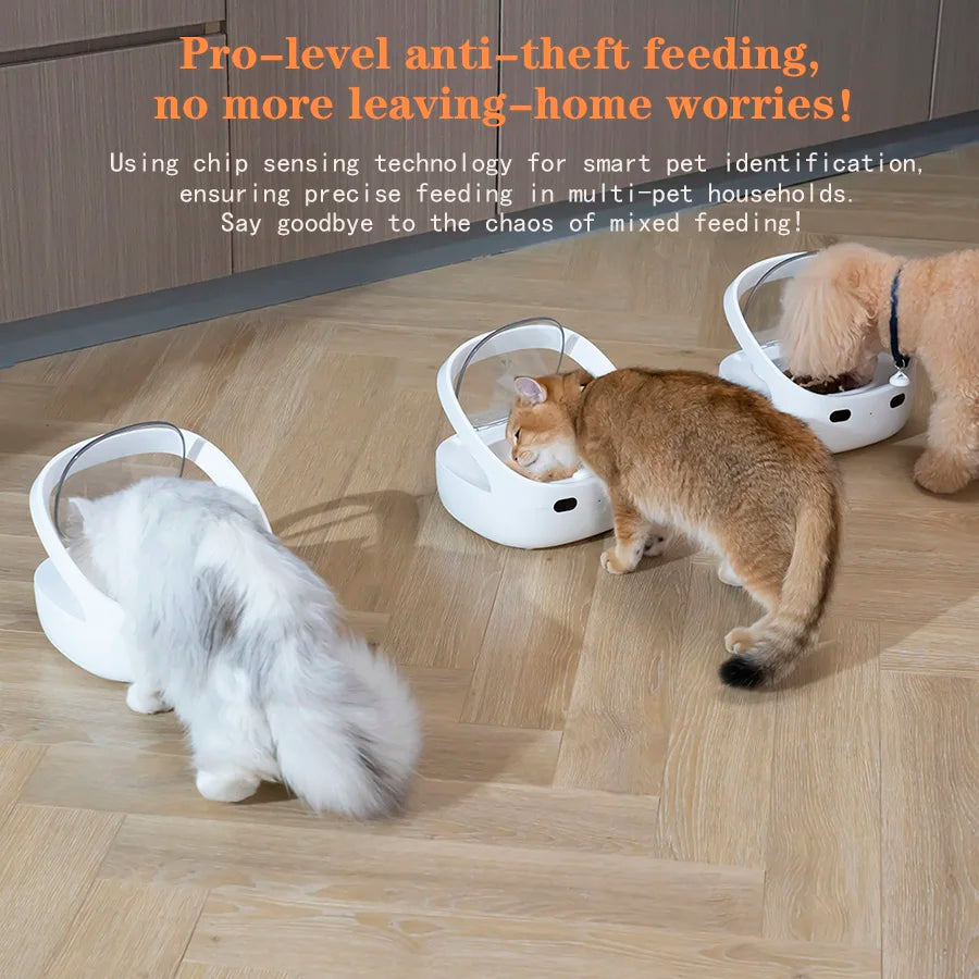 Make feeding time a breeze for multi-pet households with this global version cat and dog feeder—controlled easily with the handy app!
